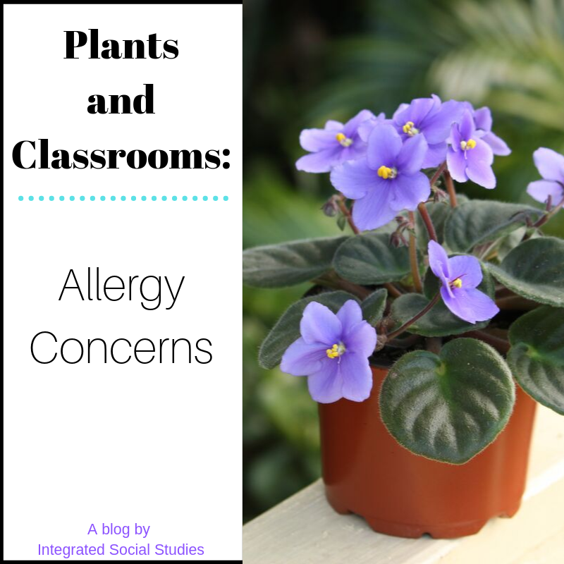Plants and Classrooms Allergy Concerns