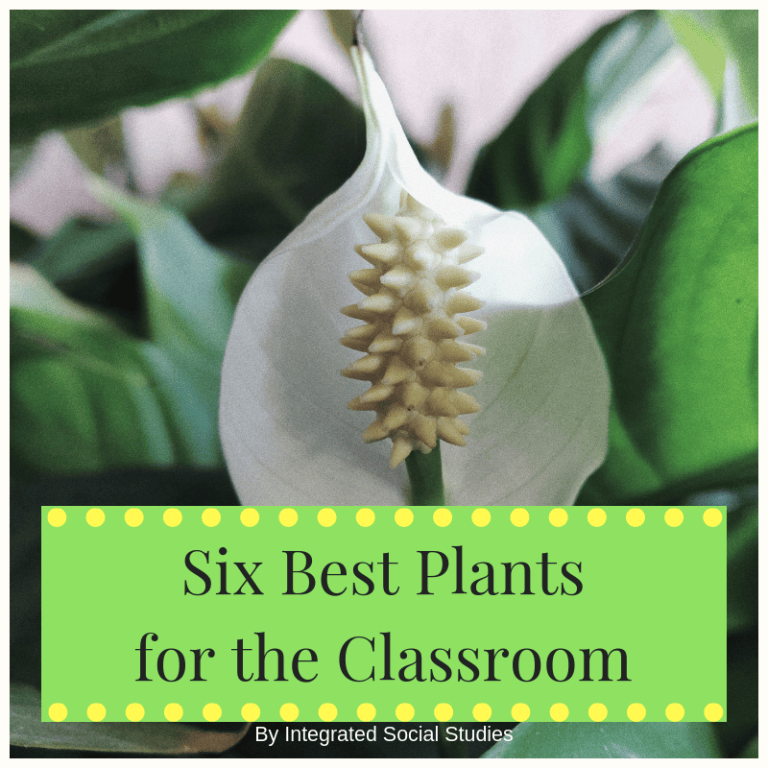 Google Classroom™ History Resources – Integrated Social Studies